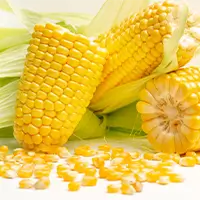 Corn2
