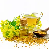 Mustard & Rapeseed Oil3